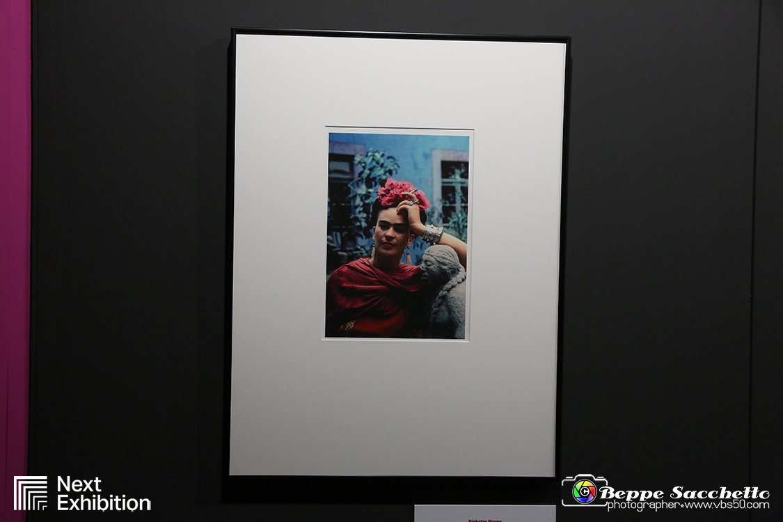 VBS_5484 - Mostra Frida Kahlo Throughn the lens of Nickolas Muray.jpg